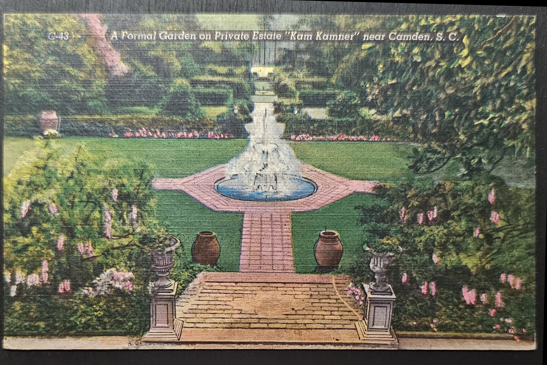 (image for) postcard USA - SC - South Carolina #0005